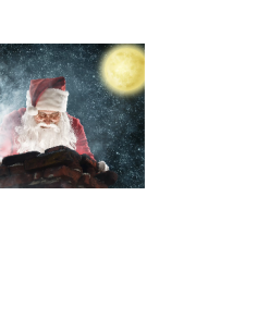 Christmas Paper Napkins...