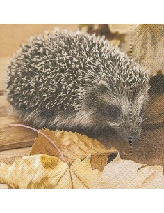 Tovaglioli Party Disegno...