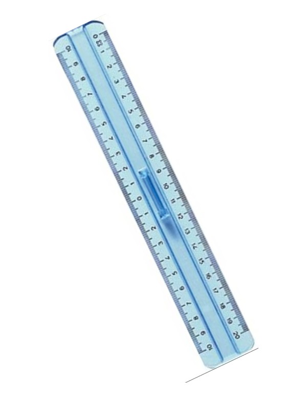 Plastic Double Decimetre Ruler With Handle 20cm
