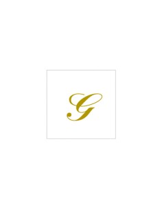 Paper Napkins 2 Ply Letter G 25x25cm 20p