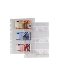 Banknotes Bag In PPL...