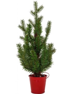 Christmas Tree 45cm Mini Allison Led With Red Base