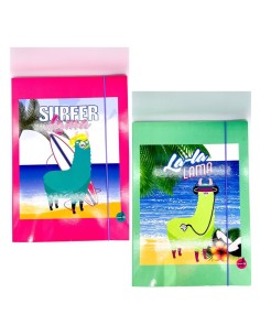 Folder With Elastic And 3...