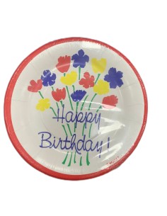 Paper Happy Birthday Plates...