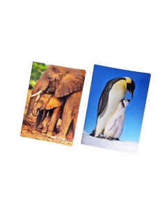 Fabriano Drawing Album...