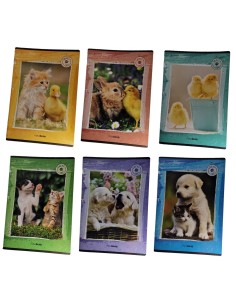 Sweet Pets Maxi Quaderno A4...