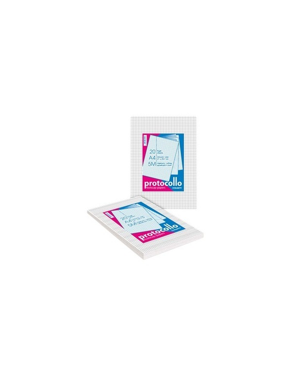 Fogli Protocollo Blasetti Rigatura 5mm 200 Fogli 60gr