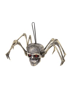 Teschio Ragno In...