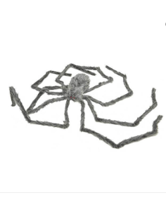 Ragno Gigante Grigio Peloso...