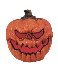 Zucca Luminosa In Plastica...