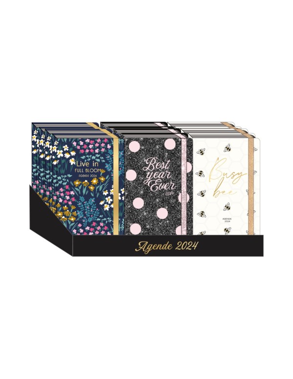 Assorted 12 Month Tri-Coastal Daily Planners