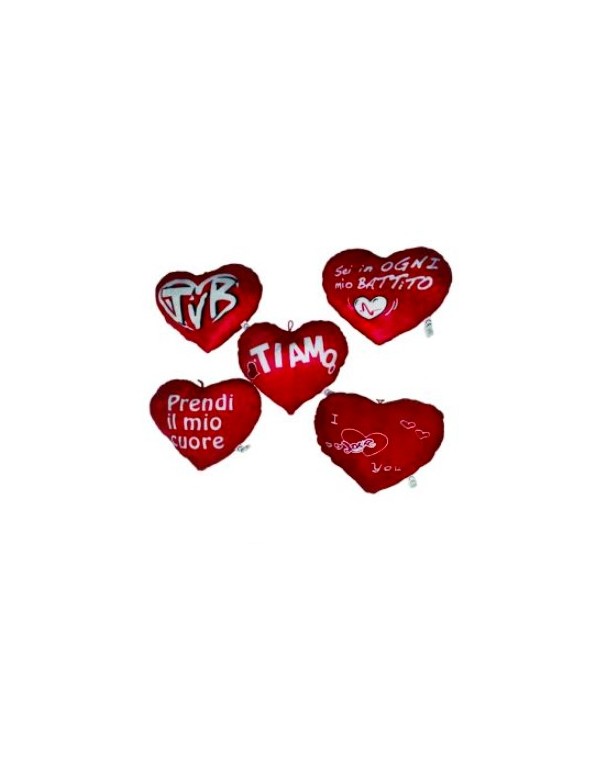 Cuscino Regalo Con Cerniera Frasi Romantiche Assortito