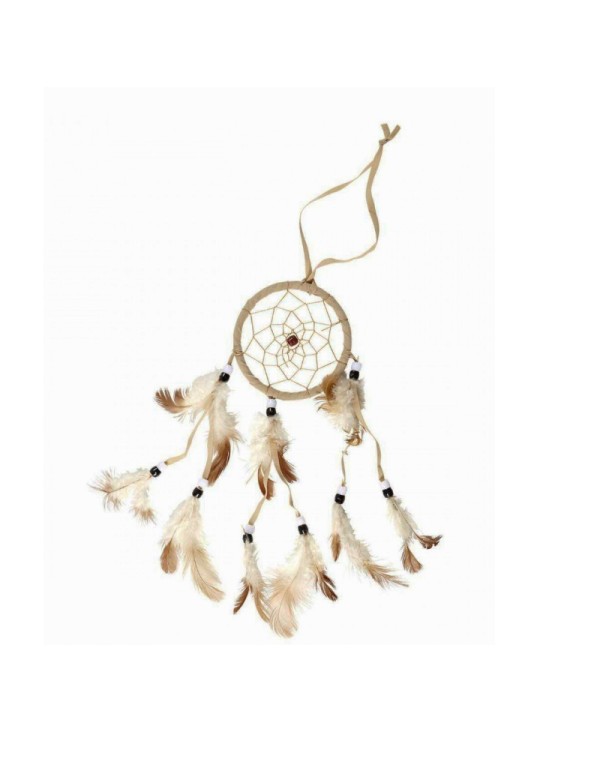 Native American Dream Catcher