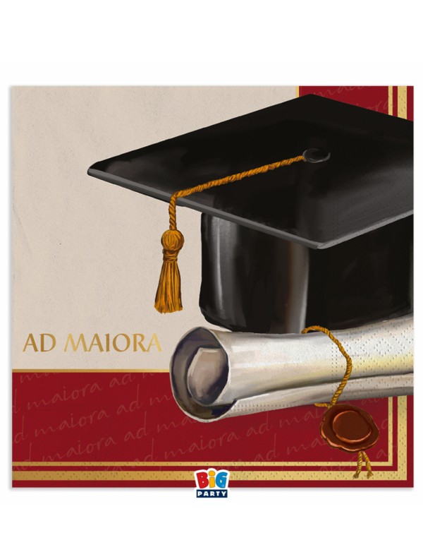 Graduation Paper Napkins 33cm 20pcs.