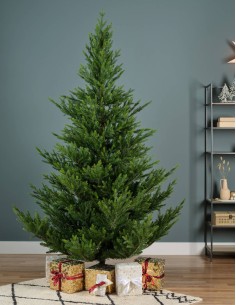 Albero Di Natale Norway... 2