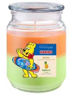 Exotic Scented Candle 510g