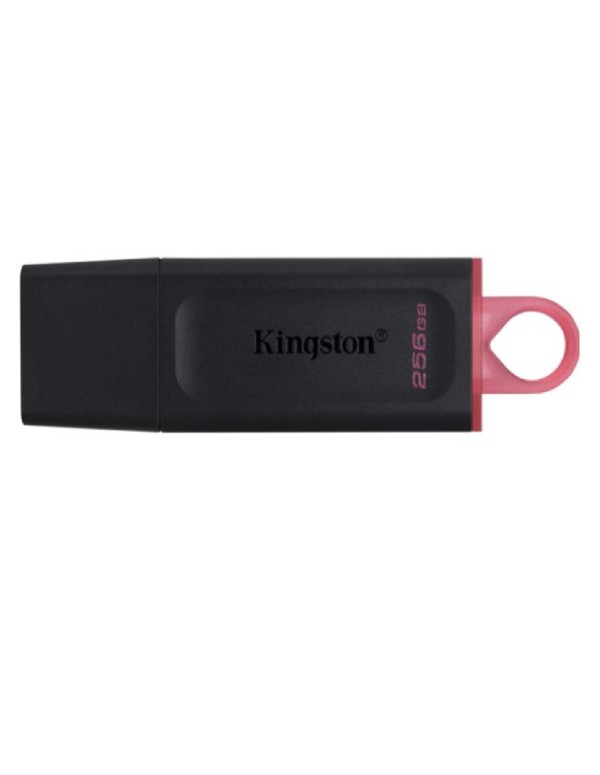 Kingston Data Traveler USB Flash Drive 256 GB 3.2