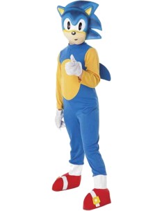 Sonic Carnival Costume for...