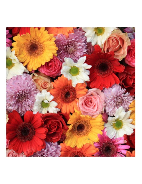 Tovaglioli Di Carta Gerbera 33cm 20pz