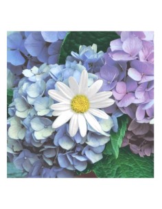 Paper Napkins 33cm 20pcs