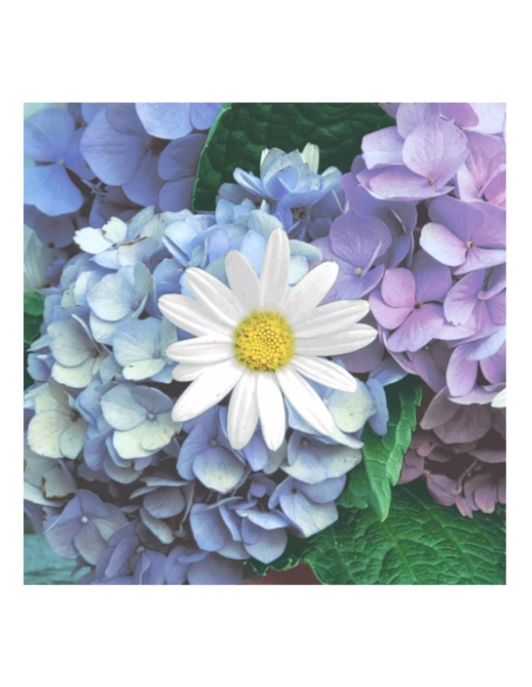Tovaglioli Di Carta Floral Cascade 33cm 20pz