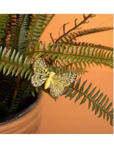 Farfalla Decorativa Con Clip 2