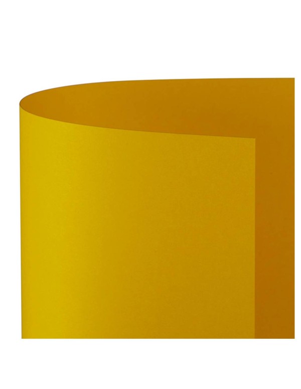 Confezione 10pz Cartoncini Bristol Lisci 200gr 70x100cm