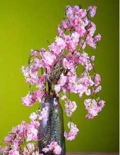 Decorative Branch Peach... 2