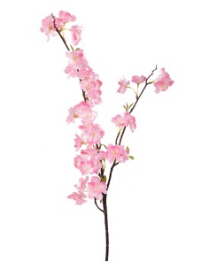 Decorative Branch Almond...