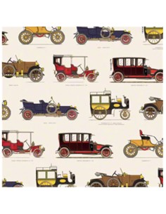 Sheet of Tassotti Paper...