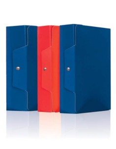 Blue Project Folder