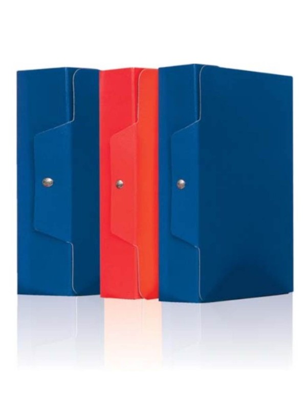 Blue Project Folder