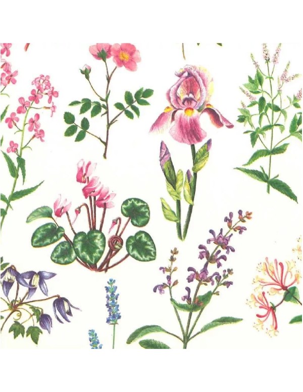 Foglio Di Carta Tassotti 70x100cm Erboristeria 110gr