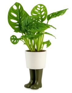 Wellington Planter Small Green 2