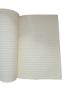 Pink Plush Notebook 2