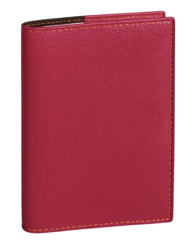 IT Club Weekly Teacher Planner Raspberry 2025/2026