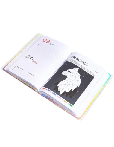 Diario Scuola 12 Mesi Datato...