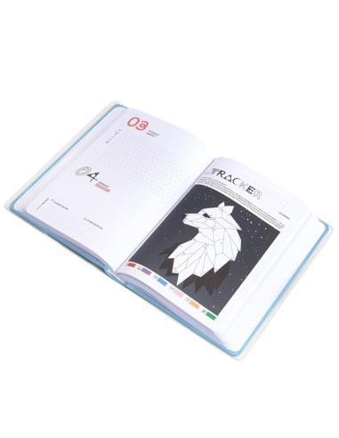 Diario Scuola 12 Mesi Datato...