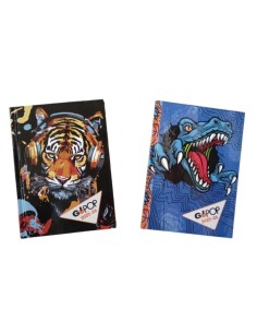 Diario Scuola 10 Mesi...