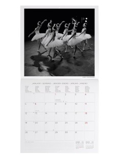 Calendario Da Parete 2026... 2