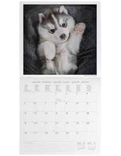 Calendario Da Parete 2026... 2