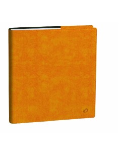 Agenda Settimanale 13 Mesi...