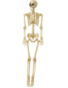 Scheletro Di Halloween...