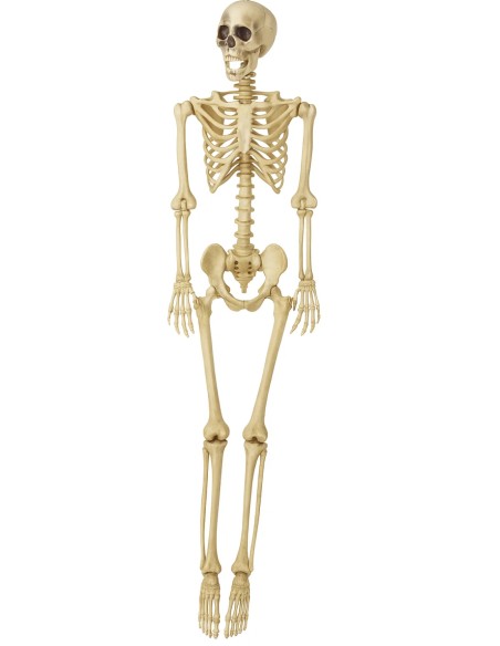 Scheletro Di Halloween Decorativo 165cm