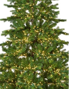 Galloway Spruce Christmas... 2