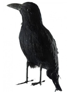 Halloween Prop Corvo...