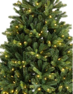 Freiburg Pine Christmas... 2