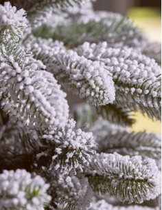 Albero Di Natale EDG Pino... 2