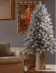 Albero Di Natale Pino... 2