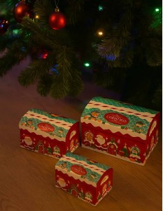 Baule Regalo Natalizio... 2